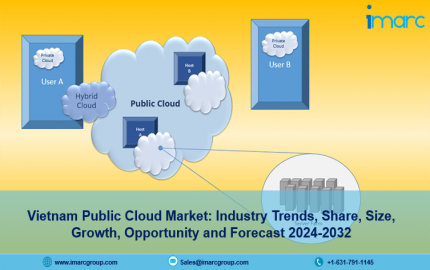 Vietnam Public Cloud Market Share, Size, Trends, and Growth Report 2024-2032