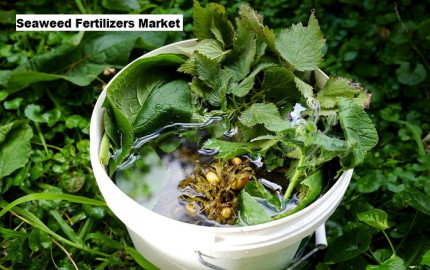 Seaweed Fertilizers Market to Grow with a CAGR of 6.21% through 2029