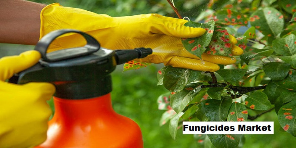 Fungicides Market to Grow with a CAGR of 5.92% through 2028