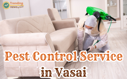 The Best Pest Control Services in Vasai for a Pest-Free Environment