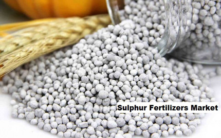 Sulphur Fertilizers Market to Grow with a CAGR of 4.25% through 2029