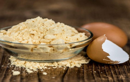 Whole Egg Powder Market Share, SWOT Analysis, Top Players 