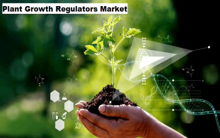 Plant Growth Regulators Market to Grow with a CAGR of 4.27% Globally
