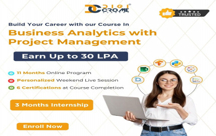 Get Certified in Business Analytics and Project Management Course to level up your career- Digicrome