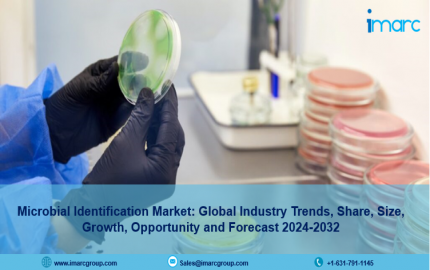 Microbial Identification Market Size, Industry Overview & Forecast Report 2024-2032