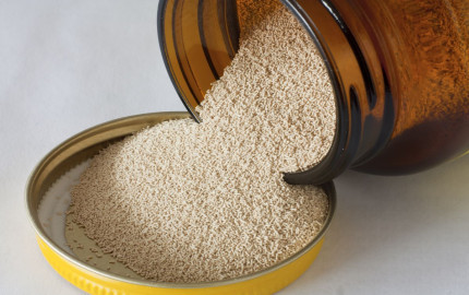 Yeast Market Insights, Trends, Growth, Forecast, and Report 2024-2032