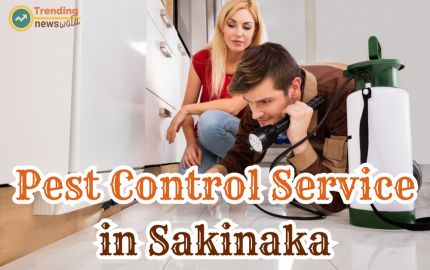 Are you looking for Professional Pest Control Services in Sakinaka for a Healthy Community