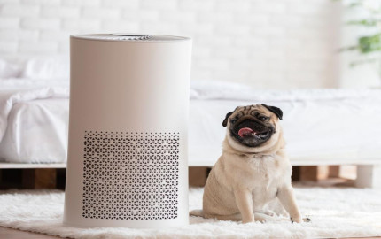 Smart Air Purifiers Market Size, Trends, Growth, Opportunity and Forecast 2024-2032