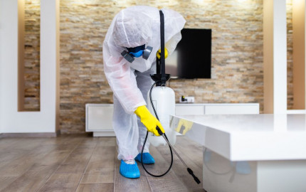Best Protecting Pest Control Services in Vidyavihar for a Healthy Community