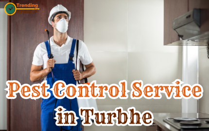 Looking for Professional Pest Control Services in Turbhe  