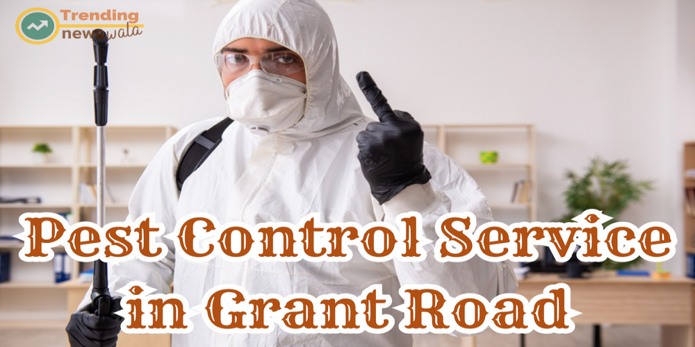 Professional Pest Control Services in Grant Road for a Pest-Free Community