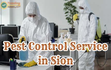 Protecting Your Home: The Importance of Pest Control Services in Sion