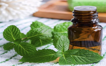 Specialty Mint Oils Market | Industry Outlook Research Report 2023-2032 By Value Market Research