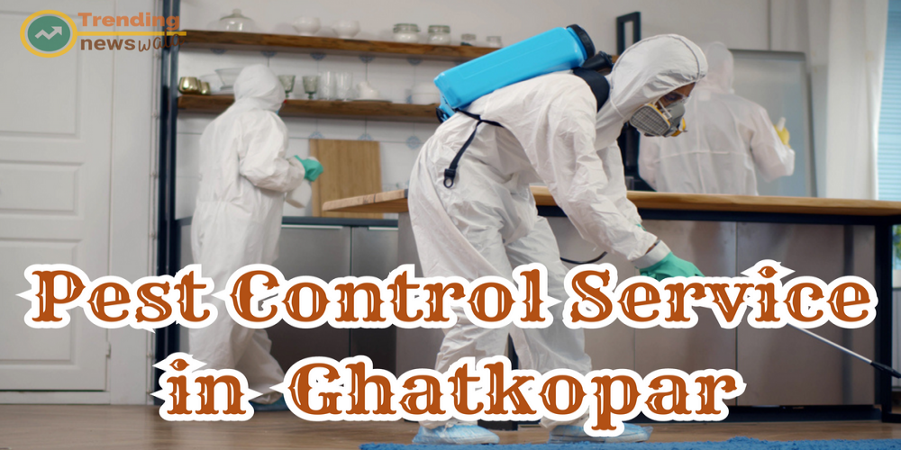 Protecting the Essential Role of Pest Control Services in Ghansoli