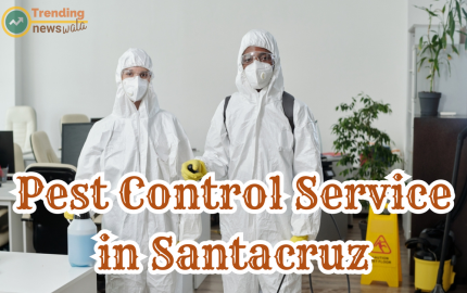  The Indispensable Role of Pest Control Services in Santacruz