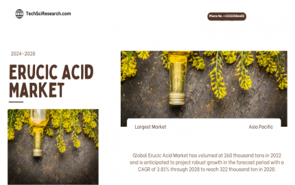 Erucic Acid Market [2028] Analysis, Trends, and Key Players.