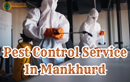 Ensuring Well-Being: The Importance of Pest Control Services in Mankhurd