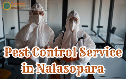 One of the Best Pest Control Services in Nalasopara