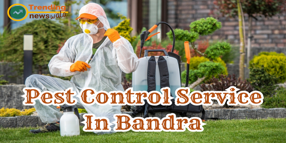 No. 1 Pest Control Services in Bandra