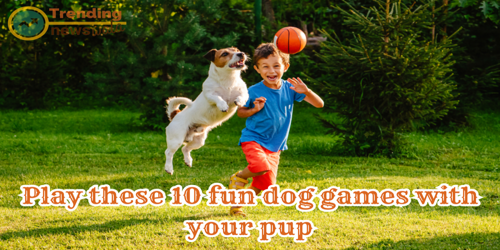 Unleash the Fun: 10 Entertaining Dog Games to Play with Your Pup