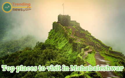 Are You Looking for Top places to visit in Mahabaleshwar