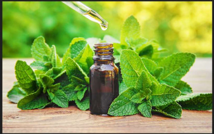 Synthetic Mentha Oil Market Size, Growth & Global Forecast Report to 2032