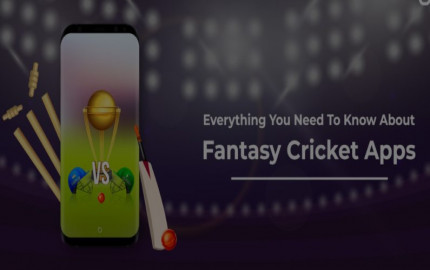 Elevate Your Fantasy Cricket Experience with the Radhe Exchange App 