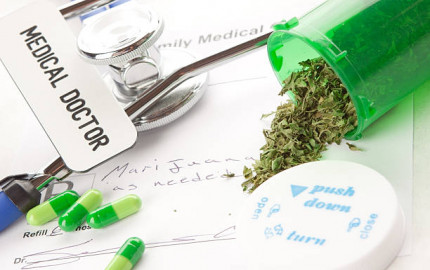 Florida Medical Marijuana Card: A Gateway to Holistic Healing