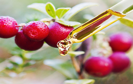 Lingonberry Extract Market 2023 Global Industry Analysis With Forecast To 2032