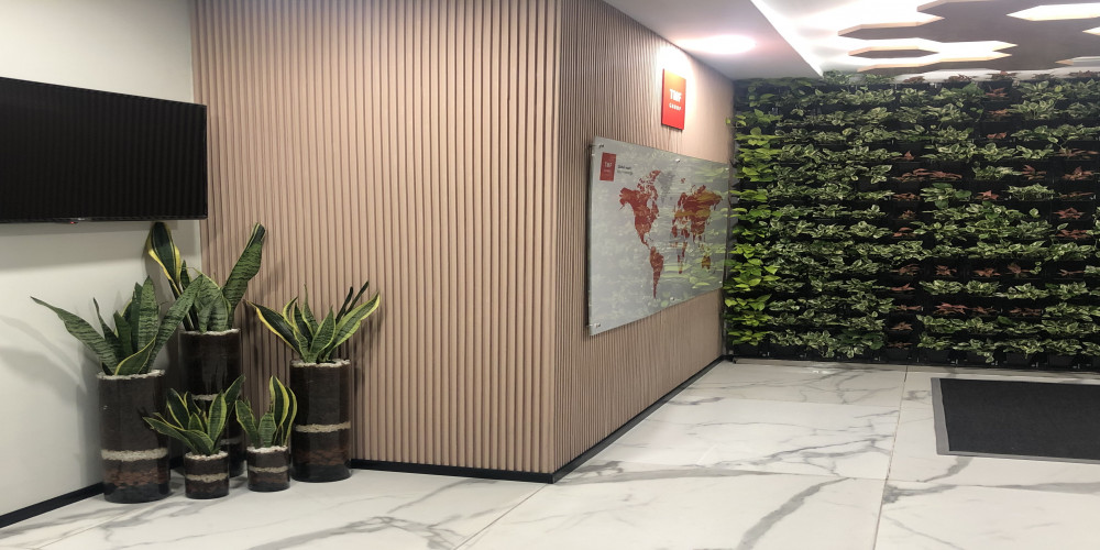 The Benefits of Renting Plants for Your Office Space