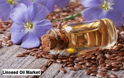 Linseed Oil Market to Grow with a CAGR of 5.24% through 2028