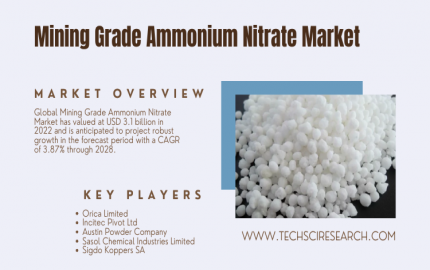 Mining Grade Ammonium Nitrate Market Report- Understanding Market Size, Share, and Growth Factors [2028]