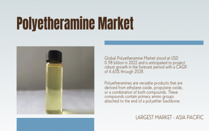 Polyetheramine Market Dynamics [Latest]- Exploring Growth Drivers and Challenges
