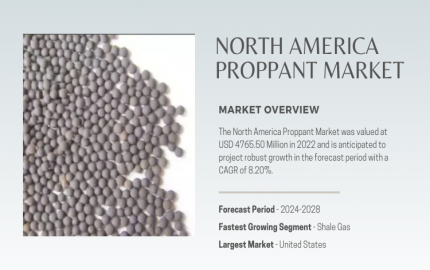North America Proppant Market Insights- Strategies for Success in a Competitive Landscape [2028]