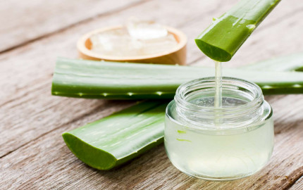 Aloe Vera Gel Manufacturing Plant Project Report 2024: Manufacturing Process, Materials Cost and Profit Margin