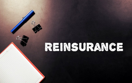 United States Reinsurance Market Research Report 2024-32: Share, Size, Growth, & Forecast