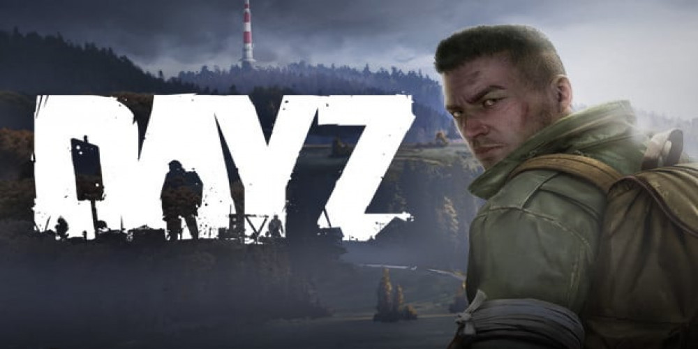 From a Zero to a Hero: A Beginner's Guide to Early DayZ Survival with DayZ Hacks