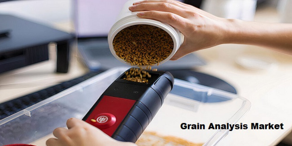 Understanding Growth Patterns: Grain Analysis Market Analysis | TechSci Research