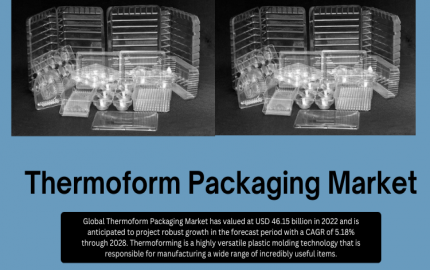 Thermoform Packaging Market Overview- Analysing Key Players and Market Dynamics [Latest]