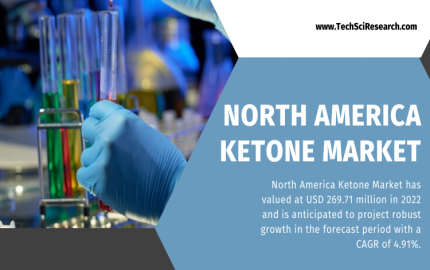 North America Ketone Market Report- Understanding Market Size, Share, and Growth Factors [2028]