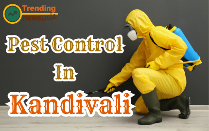 A Comprehensive Guide to Safeguarding Your Home | Pest Control In Kandivali