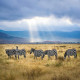 Exploring the Wonders of Africa: Unforgettable Experiences and Group Tours