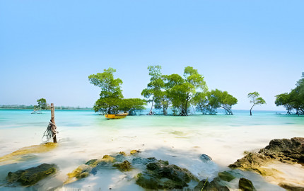Discover the Beauty of Andaman: A Must-Visit Destination in South India