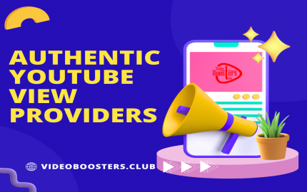 How Authentic YouTube View Providers Can Skyrocket Your Channel's Growth