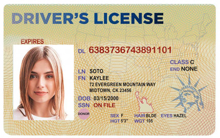 Fake IDs: Opening Doors to Social Experiences