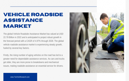 Vehicle Roadside Assistance Market Analysis- Insights into Competitive Landscape