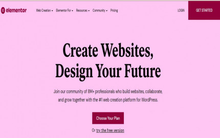 Elementor: Free Website Builder Plugin for WordPress 2024