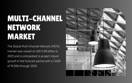Multi-Channel Network Market: Assessing Growth Potential and Market Share