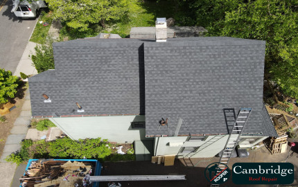 Essential Roof Maintenance Tips to Safeguard Your Home