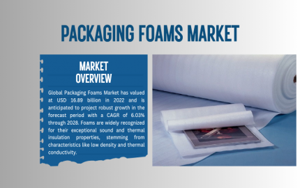 Packaging Foams Market Analysis- Insights into Competitive Landscape